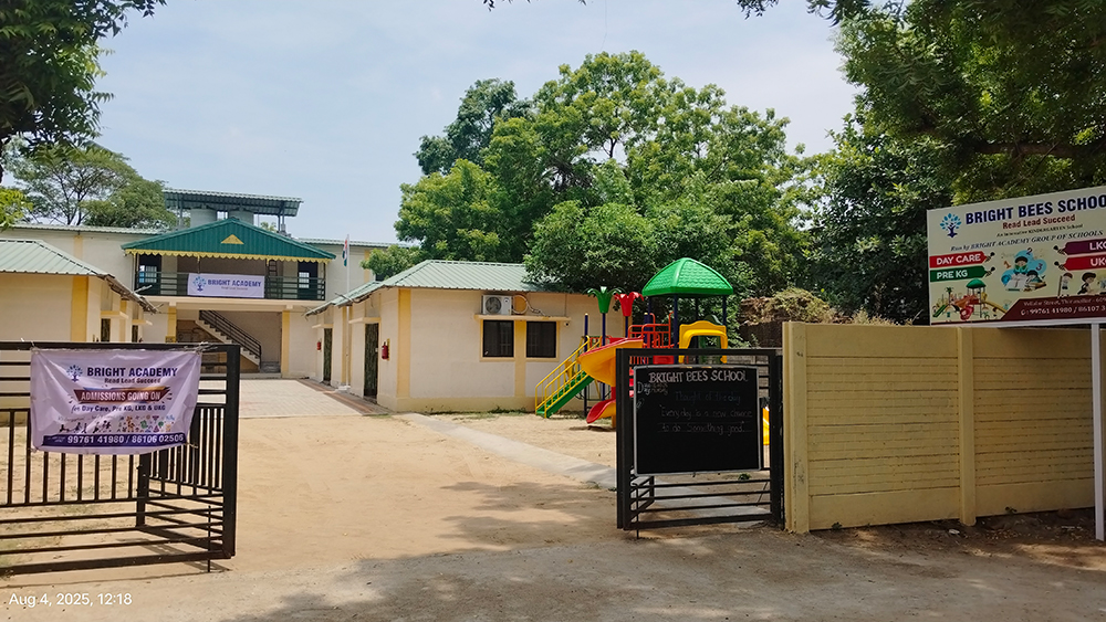 Bright Bees School
